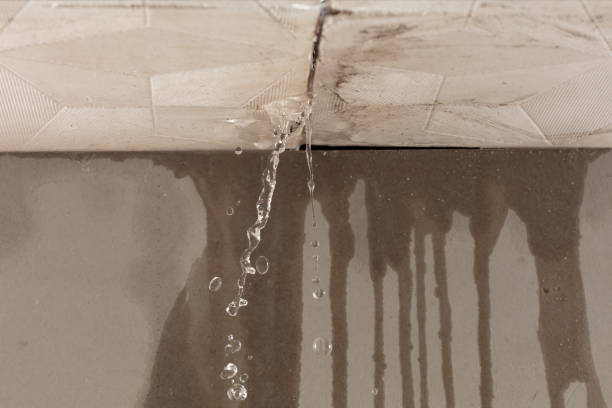 Professional Flood Damage Cleanup technician working in Winn, MI